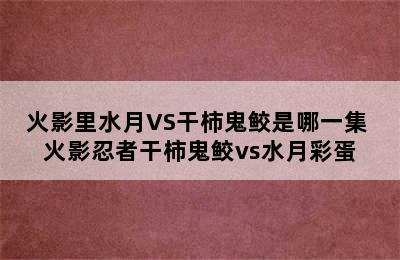 火影里水月VS干柿鬼鲛是哪一集 火影忍者干柿鬼鲛vs水月彩蛋